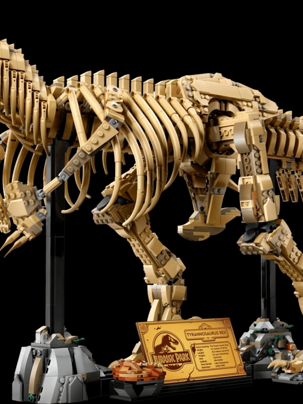 GENERIC Dinosaur Fossils: Tyrannosaurus rex  76968 Complete Set | No Box